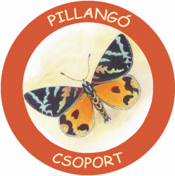 Pillango